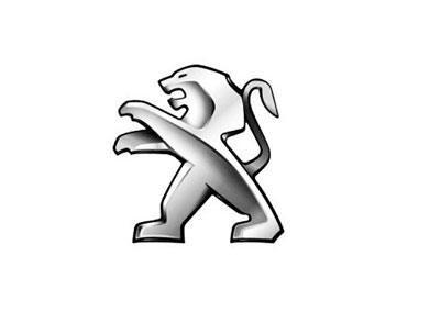 Shenzhen RYHX's customers-PEUGEOT